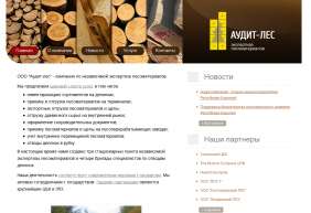 ООО "Аудит-лес"